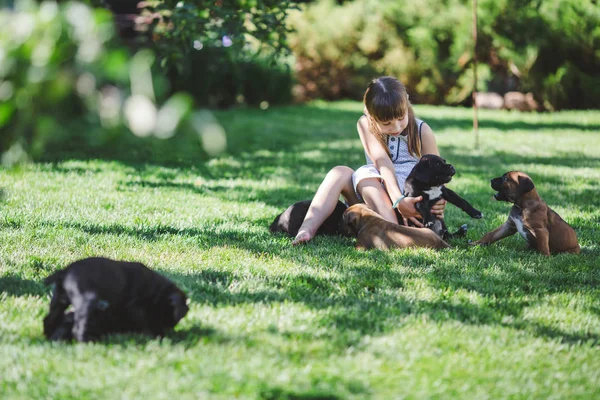 Schattig Klein Meisje Met Puppies Buiten Spelen — Stockfoto