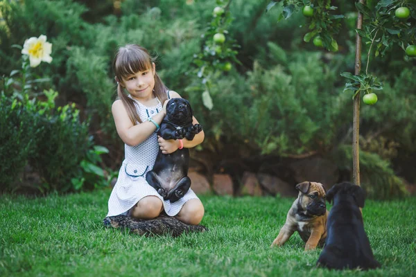 Cute Little Girl Playing Puppies Outdoor — Stock Photo, Image
