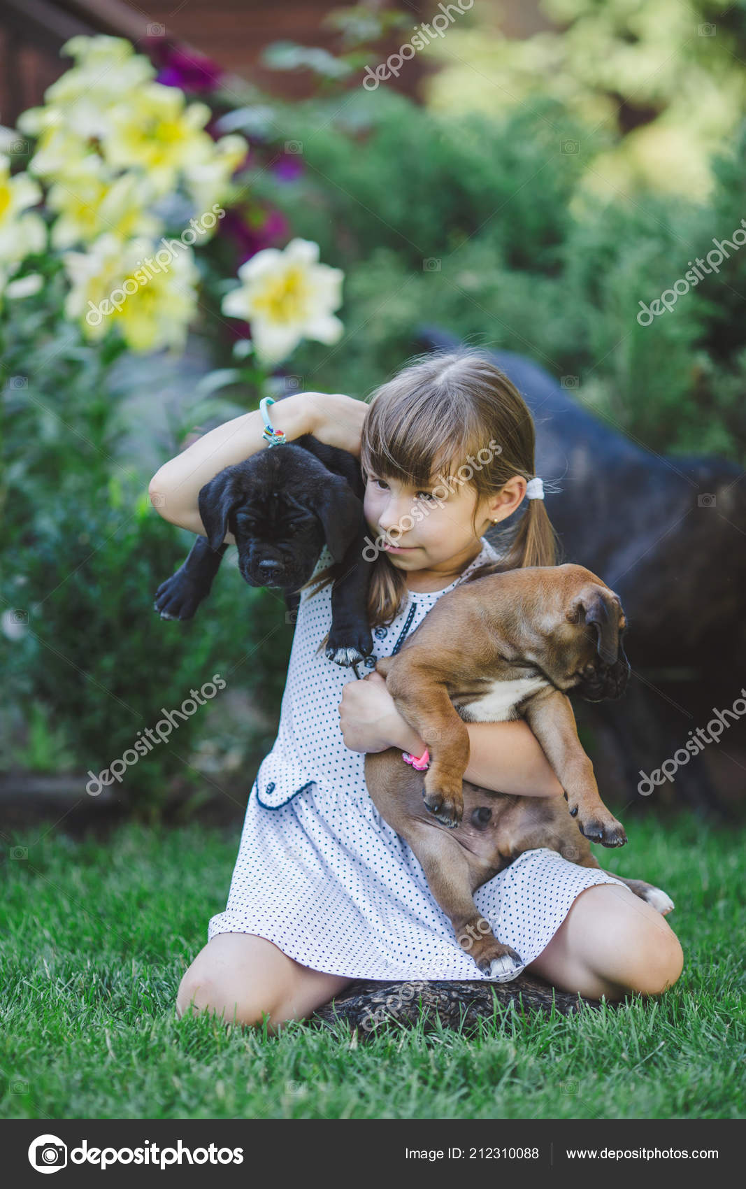 Cute Little Girl Playing Puppies Outdoor — Stock Photo