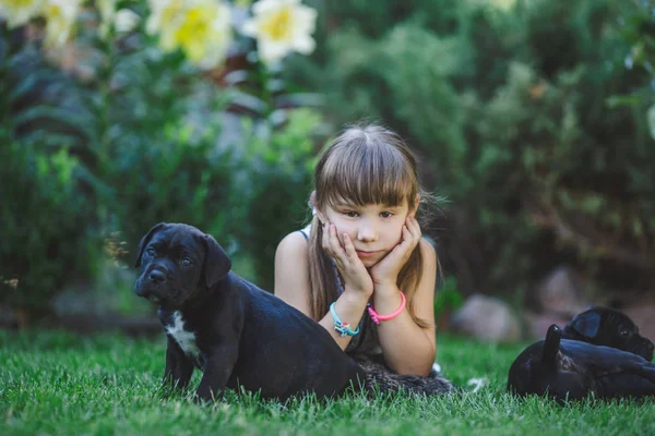 Schattig Klein Meisje Met Puppies Buiten Spelen — Stockfoto