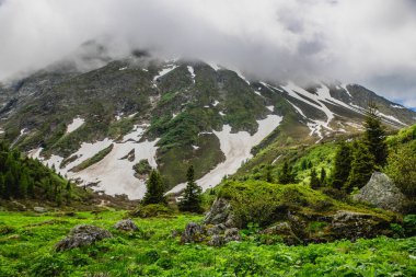 Güzel dağ manzarası ile taze yeşil çimen