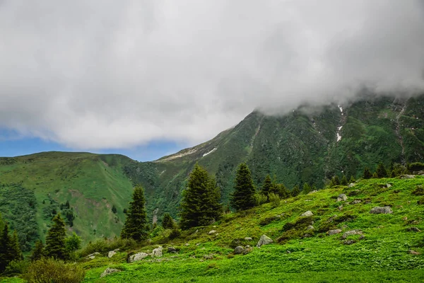 Bela Paisagem Montanhosa Com Grama Verde Fresca — Fotografia de Stock