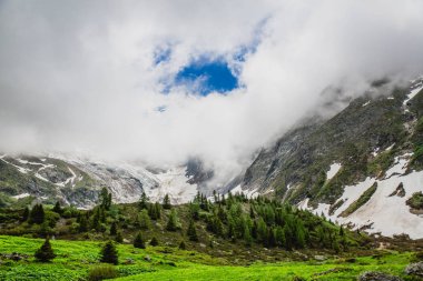 Güzel dağ manzarası ile taze yeşil çimen