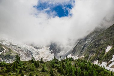 Güzel dağ manzarası ile taze yeşil çimen