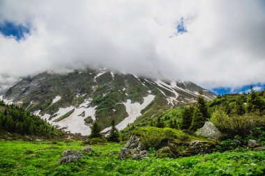 Güzel dağ manzarası ile taze yeşil çimen