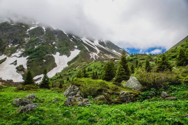 Güzel dağ manzarası ile taze yeşil çimen