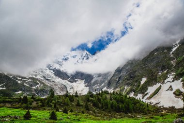 Güzel dağ manzarası ile taze yeşil çimen