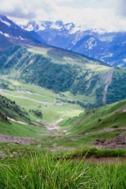 Güzel dağ manzarası ile taze yeşil çimen