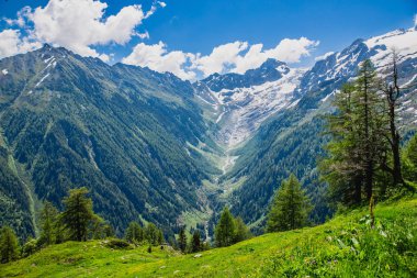 Güzel dağ manzarası ile taze yeşil çimen