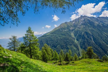 Güzel dağ manzarası ile taze yeşil çimen
