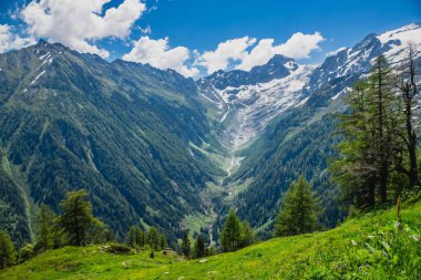 Güzel dağ manzarası ile taze yeşil çimen