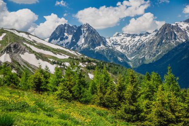 Güzel dağ manzarası ile taze yeşil çimen