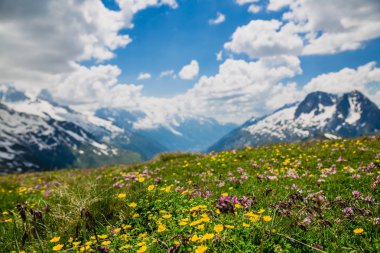 Güzel dağ manzarası ile taze yeşil çimen
