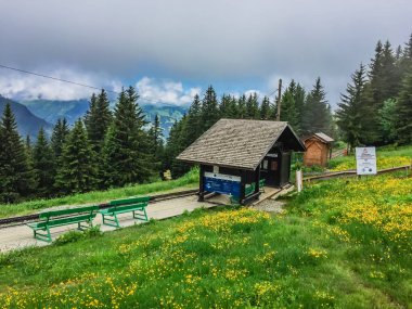 Güzel dağ manzarası ile taze yeşil çimen