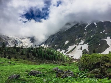 Güzel dağ manzarası ile taze yeşil çimen