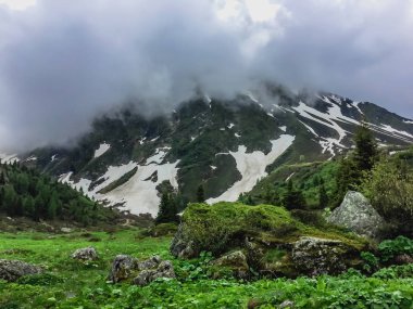 Güzel dağ manzarası ile taze yeşil çimen