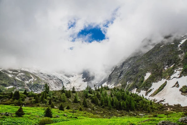 Güzel dağ manzarası ile taze yeşil çimen