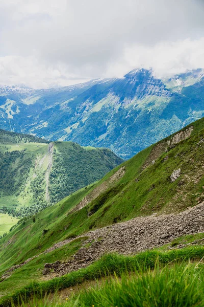 Beautiful mountain landscape with fresh green grass