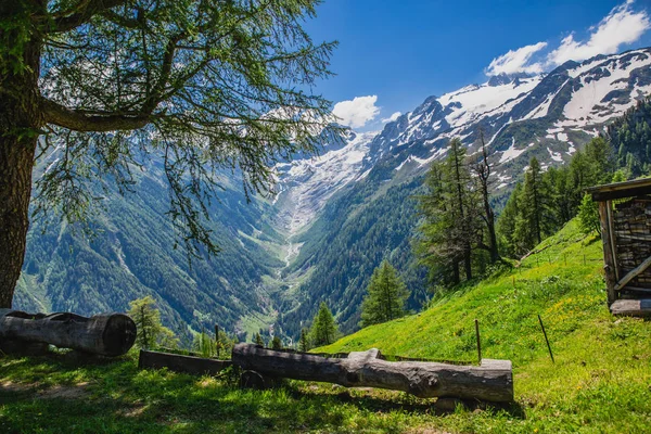 Krásná Horská Krajina Čerstvou Trávou — Stock fotografie