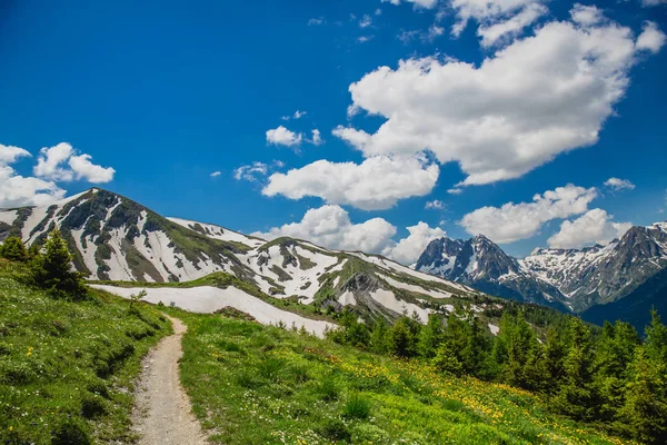 Güzel dağ manzarası ile taze yeşil çimen
