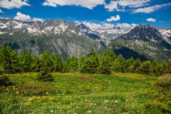 Hermoso Paisaje Montaña Con Hierba Verde Fresca —  Fotos de Stock