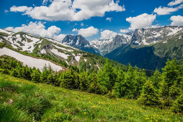 Hermoso Paisaje Montaña Con Hierba Verde Fresca —  Fotos de Stock