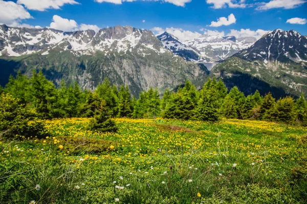 Hermoso Paisaje Montaña Con Hierba Verde Fresca —  Fotos de Stock