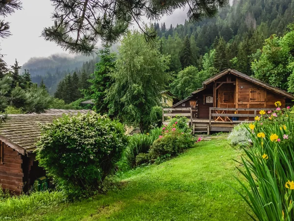 Hermoso Paisaje Montaña Con Hierba Verde — Foto de Stock