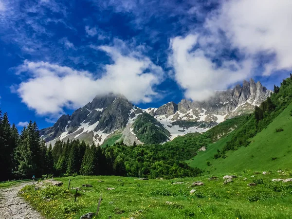 Hermoso Paisaje Montaña Con Hierba Verde Fresca —  Fotos de Stock