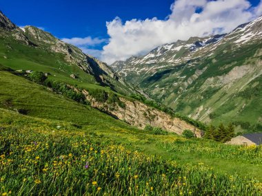 Güzel dağ manzarası ile taze yeşil çimen