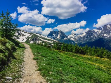 Güzel dağ manzarası ile taze yeşil çimen