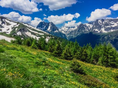 Karlı güzel dağ manzarası