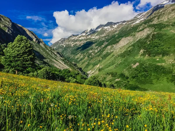 美丽的山风景与新鲜的绿色草 — 图库照片
