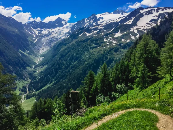 Hermoso Paisaje Montaña Con Hierba Verde Fresca —  Fotos de Stock