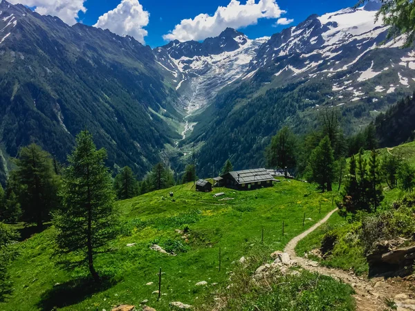 Krásná Horská Krajina Čerstvou Trávou — Stock fotografie