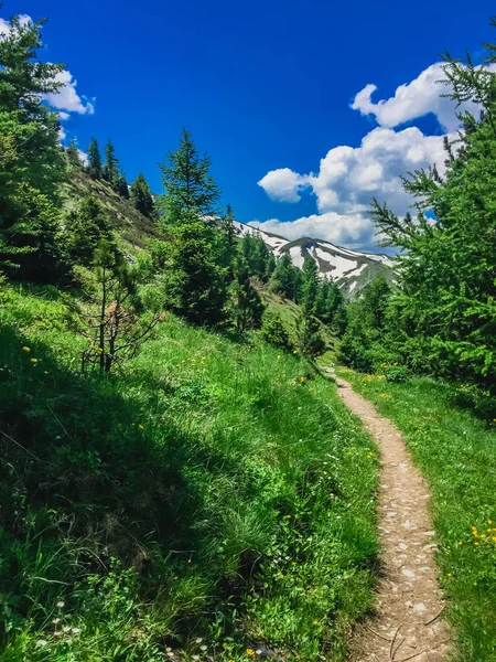 Красивий Гірський Пейзаж Свіжою Зеленою Травою — стокове фото