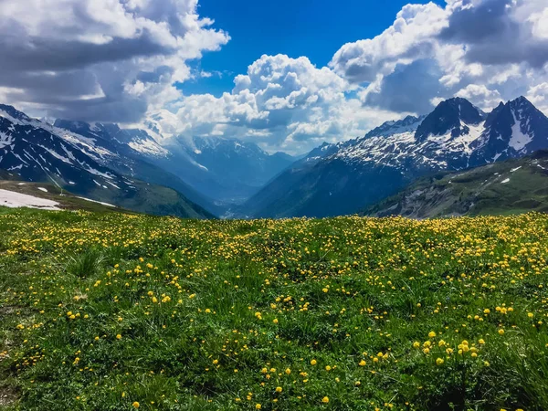 Hermoso Paisaje Montaña Con Hierba Verde Fresca —  Fotos de Stock