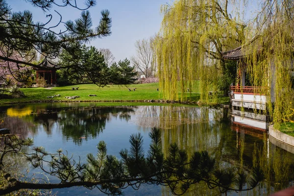 Vista Panorâmica Jardim Chinês Berlim Alemanha — Fotografia de Stock