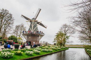 Bahar yatay, güzel Keukenhof bahçeleri, Hollanda Hollanda Yeldeğirmeni