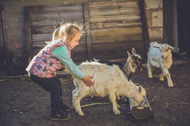 sevimli küçük kız bebek keçi çiftliğinde ile portresi 
