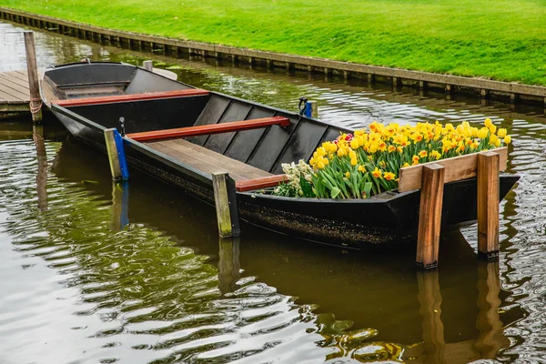 Lente Landschap Prachtige Tuinen Van Keukenhof Nederland — Stockfoto