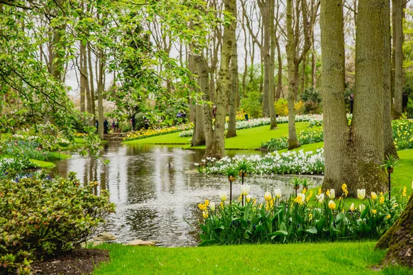 Lente Landschap Prachtige Tuinen Van Keukenhof Nederland — Stockfoto