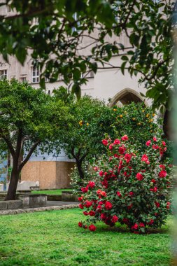 Napoli Santa Chiara Manastırı