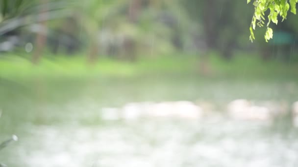 Vista De Gotas De Lluvia En Día Soleado — Vídeos de Stock