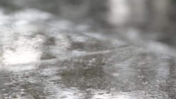 Raindrops falling on the puddle — стоковое видео