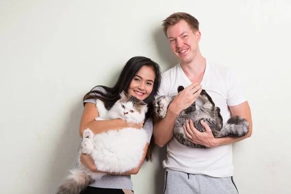 Молода щаслива багатоетнічна пара тримає двох котів разом на білому тлі — стокове фото