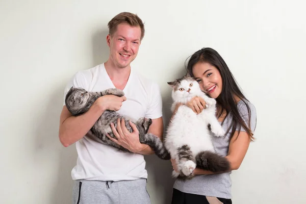 흰색 바탕에 고양이 두 마리를 함께 들고 젊은 행복 한 다 인종 커플 — 스톡 사진