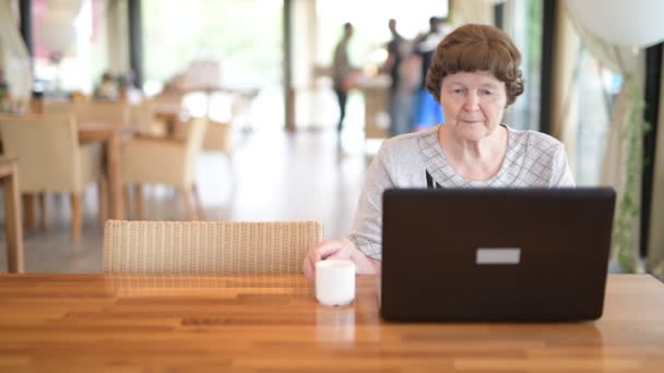 Seniorin trinkt Kaffee, während sie Laptop im Café benutzt — Stockvideo