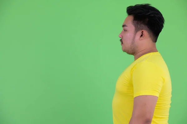 Genç yakışıklı kilolu Asyalı adam profil görünümü — Stok fotoğraf