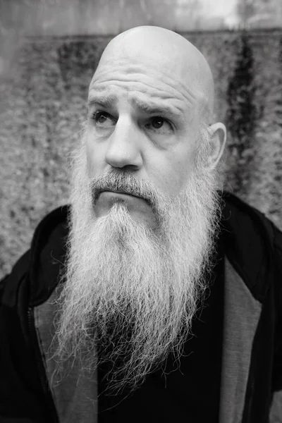 Portrait of mature bald man with long gray beard against grunge concrete wall outdoors in black and white